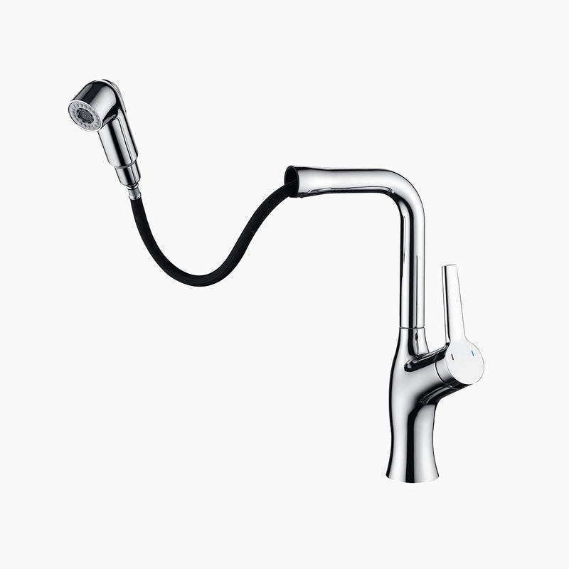 Lefton Single-Hole Rotatable and Pull-Out Faucet-BF2205