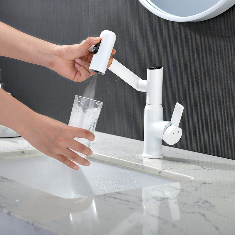 Lefton Single-Hole Rotatable Faucet with Temperature Display-BF2204