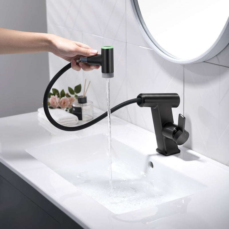 Lefton Pull-Out Faucet with Temperature Display & LED Light - BF2207