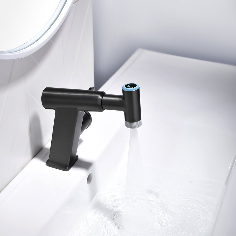 Lefton Pull-Out Faucet with Temperature Display & LED Light - BF2207